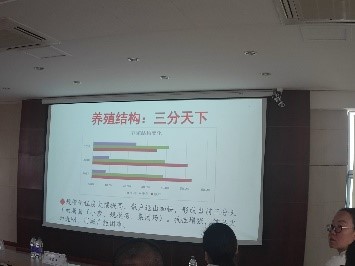 性爱视频