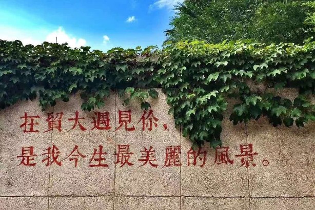 性爱视频