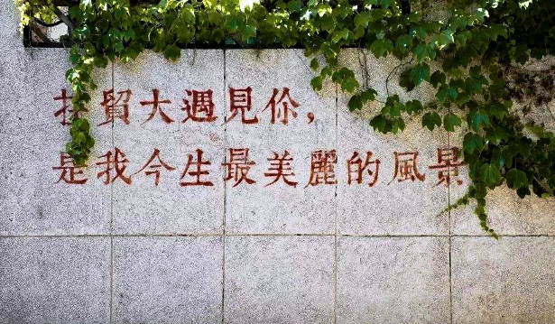 1d1d89748eda42c5b4a7fef323ba6e65.png